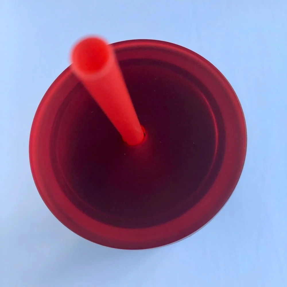 Starbucks 2020 Winter Red Poinsettia Metal Tumbler New Christmas Cold Cup Coffee